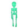 3D Skeleton Joints Refrigerator Magnet Halloween Printed Articulated Gothic Skeleton Magnetic