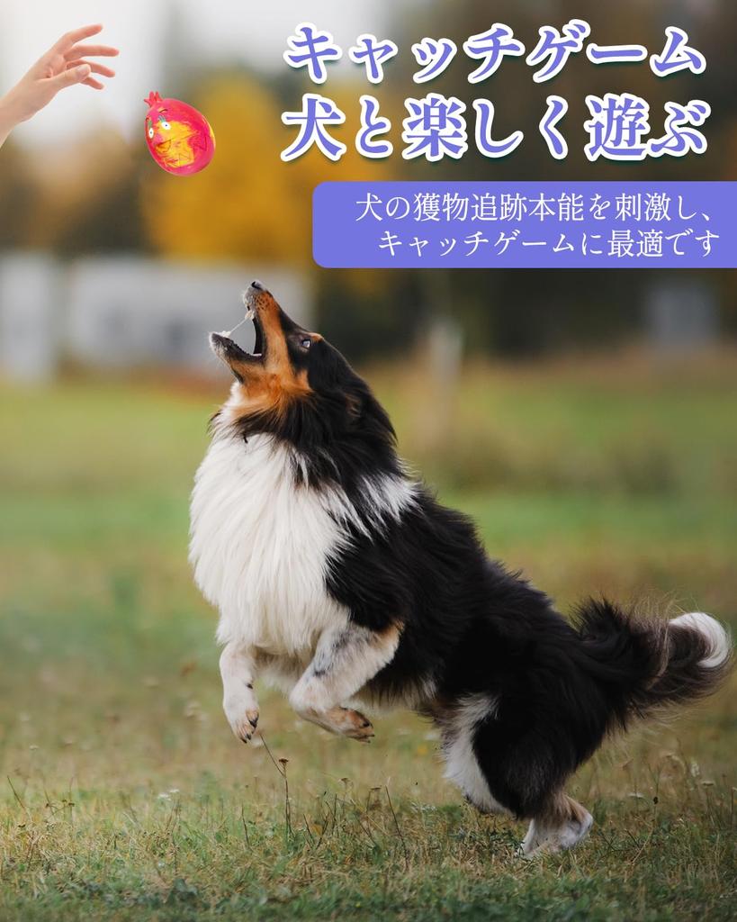 KrauzPet Dog Toy with Sound Egg Ball of Lack of Stress Pet Educational Chew Suitable for Medium and Large Dogs Set of [Made Rubber, Exercise, Relief]