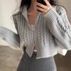 Autumn Y2k Women Zippers Knitted Cardigan Casual Loose Solid Cropped Sweater Korean Short Long Sleeve Coats Tops Fashion Clothes