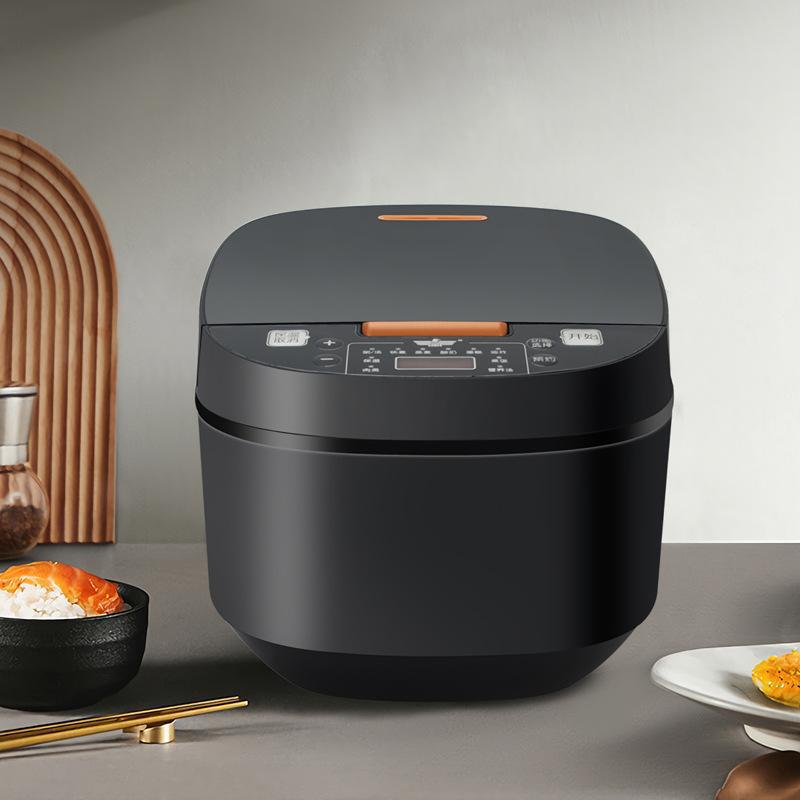 5L Multi-Function Smart Rice Cooker for Southeast Asia and Africa