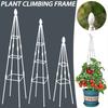 Outdoor Garden Metal Obelisk Climbing Plant Support Frame Trellis New