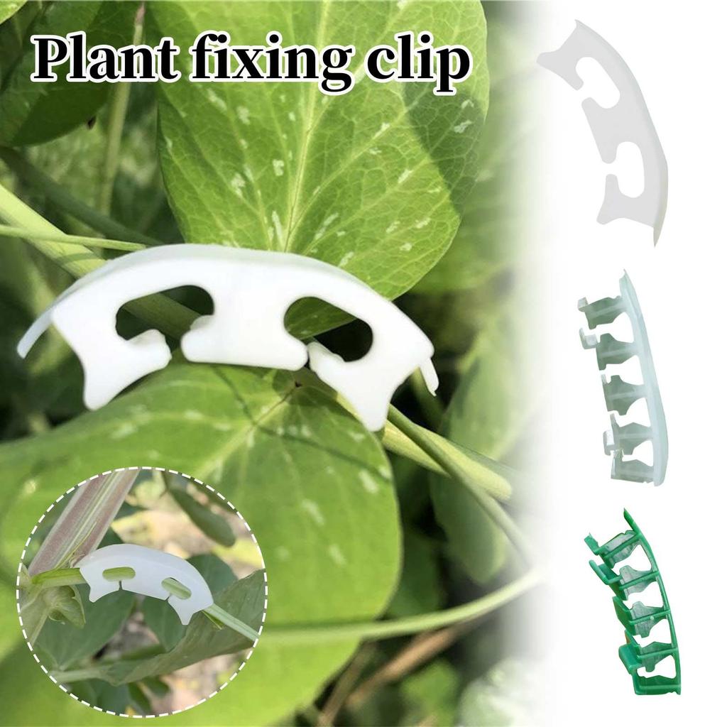 Plant Bending Device Plastic Tomato Clip Fixing Clip Reinforcement Clip Ear Handle Bending Branch Trunk Reinforcement Clip