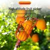High-Altitude Telescopic Fruit Picker Basket - New Model for Peach and Vineyard Gardening.