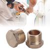 6pcs Threaded Pipe Stop Brass Plug G1/4 Pipe Inserts Pipe Plugs with Hexagon User Friendly Sealing Solution for Pipes