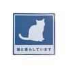 Cat Car Sticker Magnetic Matte UV Treated 2" X 3