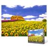 Longing for Sunflowers - 1000 Piece Jigsaw Puzzle, Popular Korean Puzzle