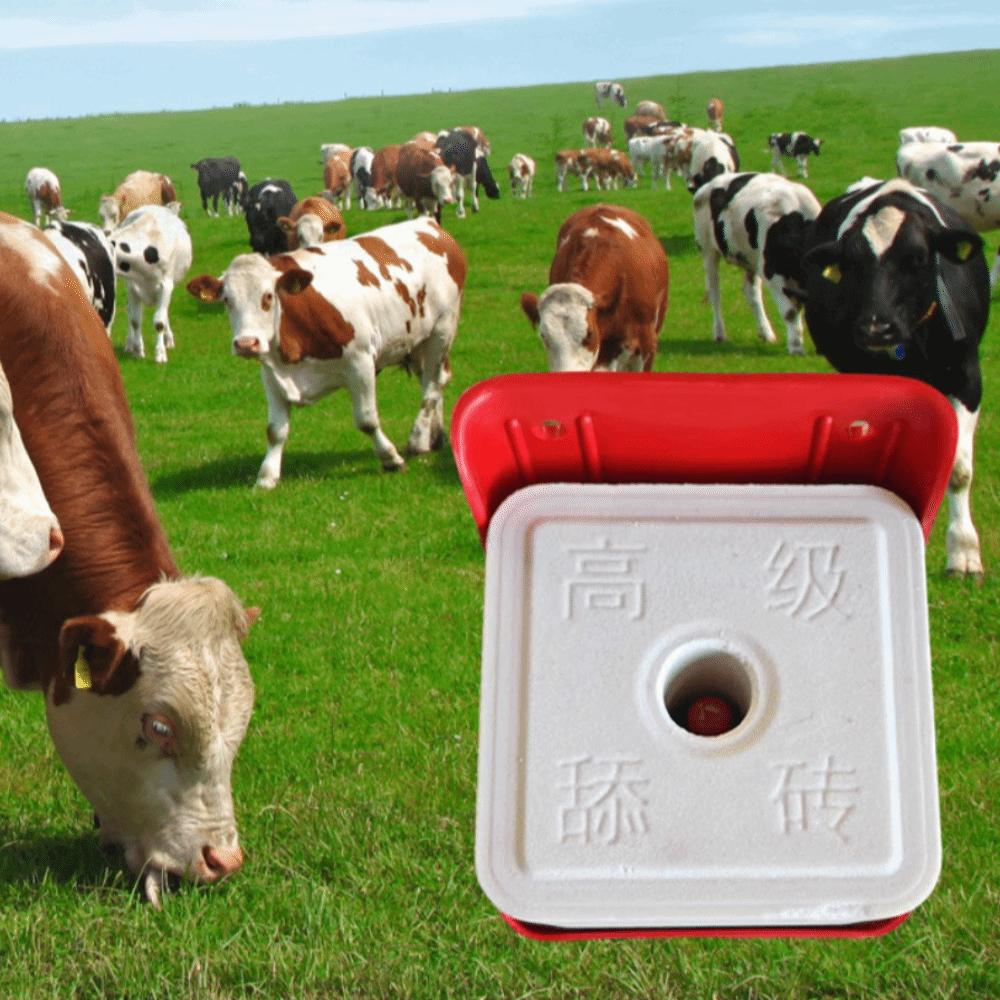 Plastic Lick Block Holder Thickened Mineral Block Tray Sturdy Salt Block Box Sheep Use