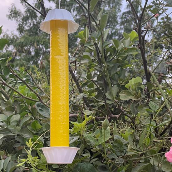 Fly Stick Trap for Mosquitoes Gnats Wasps Long-lasting Protection Indoor Outdoor Use Adhesive Fly Catcher Eco-Friendly Fruit Fly Trap