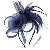 Formal Dress Feathers Mesh Headband Retro Fascinator Headdress  Masquerade Party