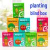 Blind Box Plant Pot - Kids' Gift for Children's Day or Birthday