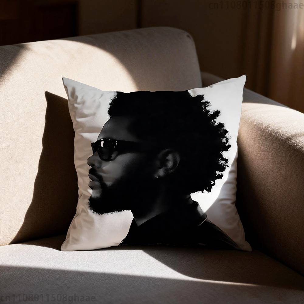 The Weeknd XO Наволочка Антипылевой клещ Наволочка Невидимая молния Шелковистый короткий плюш Чехол для диванной подушки