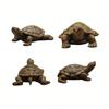 High - Fidelity Mini Turtle Model for Aquatic and Terrestrial Terrarium Decorations Great Gift for Turtle Lovers and Hobbyists