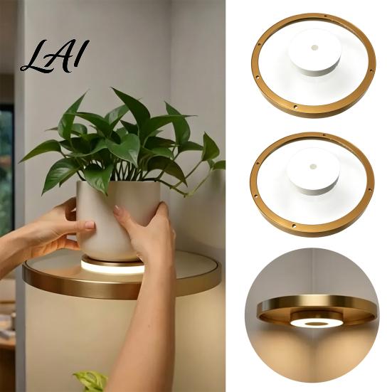 Floating Magnetic Decoration Levitating Plant Pot with LED Light Rotating Air Levitation Holder USB Powered Planter Desktop Ornament for Succulent