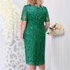Women's Summer Large-size Dress Embroidered Lace Slim Dress