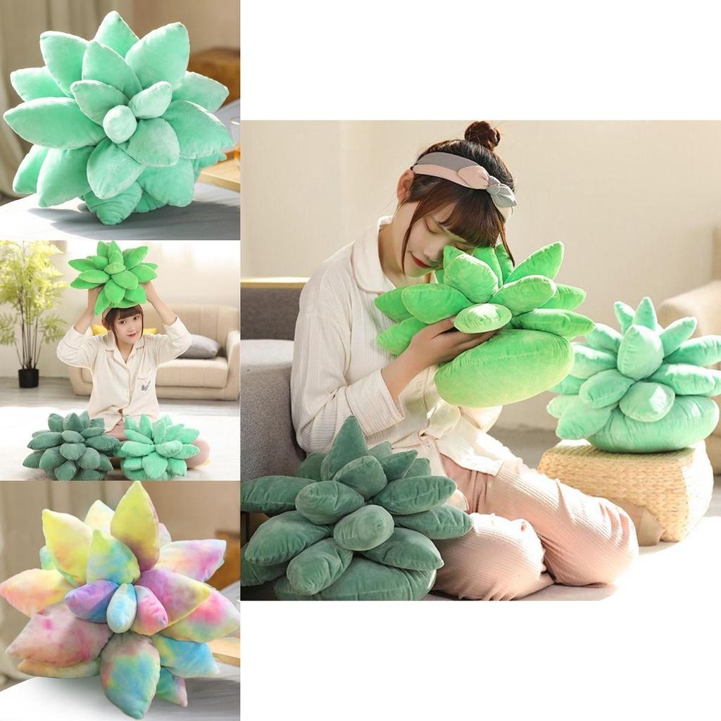 Charming Succulent Plant Stuffed Toys With Realistic Expressions For Kids Gifts