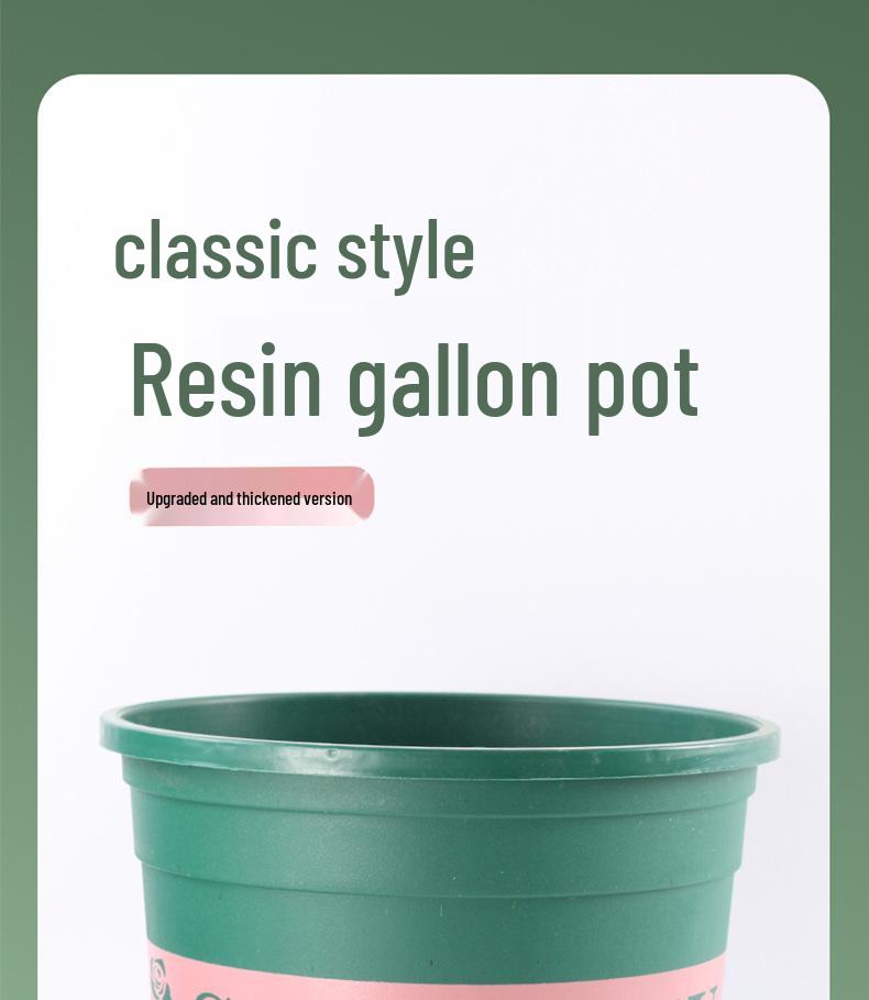 Extra Large Gallon Resin Flower Pot with Root Control for Roses