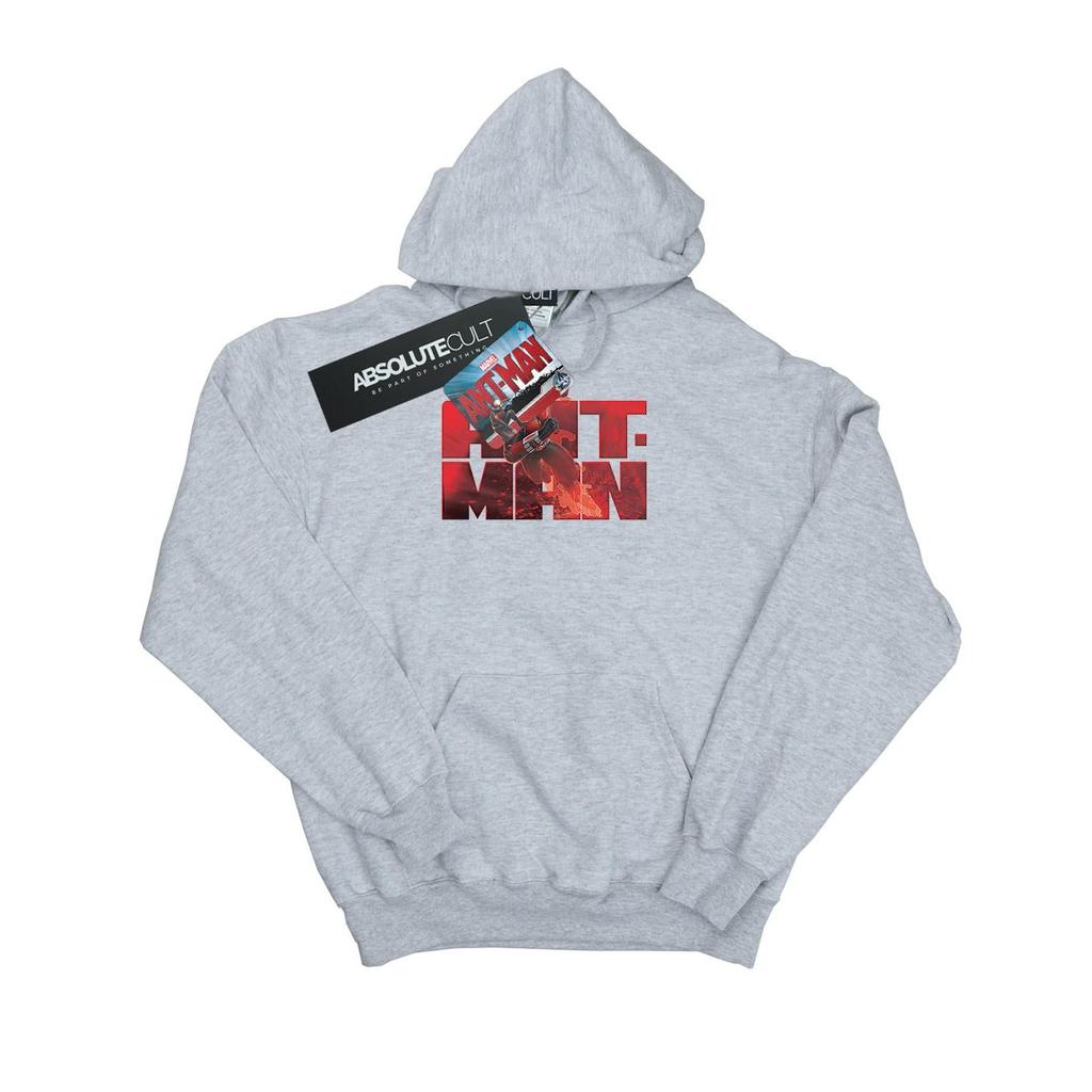 Marvel Boys Ant-Man Running Hoodie