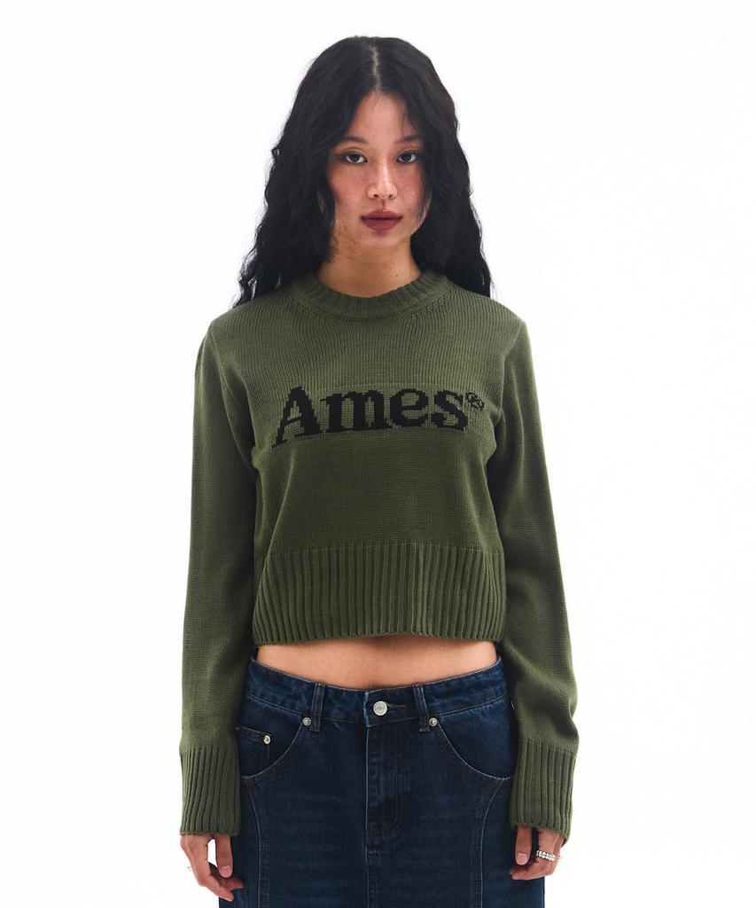 AMES-WORLDWIDE Basic Pullover Knit Khaki
