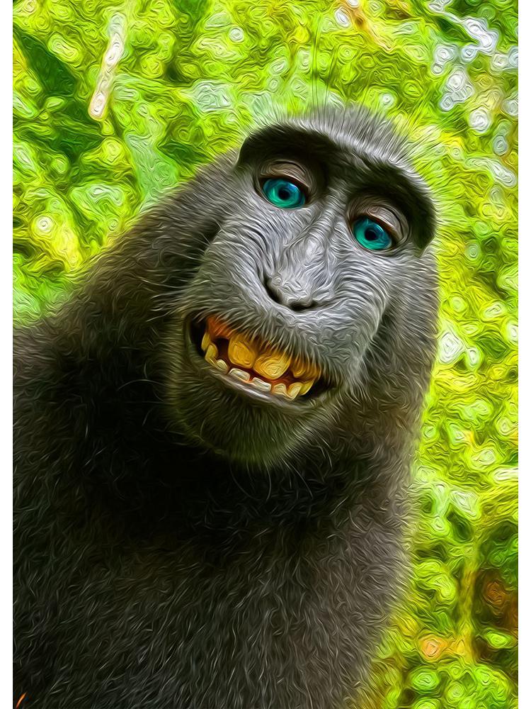 Забавная обезьяна селфи счастливый шимпанзе плакат с принтом холст картина животное настенное искусство для гостиной домашний декор Cuadros