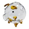 Clear Glass Pig Piggy Bank, Jar Cute