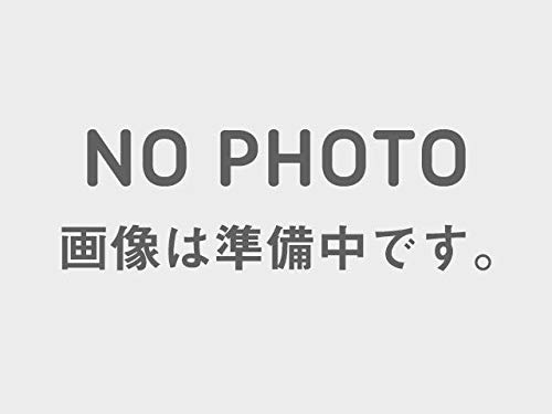 POSH FAITH Расширитель переднего крыла для мотоцикла Z900RS (2018-2024 гг.) | Z900RS КАФЕ (2018-2024 гг.) 132190-EX