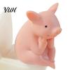 Exquisite Resin Crafts for Decor 2Pcs Meditation Pig And Frog Figurines, Funny Toilet Animal Ornament Desktop Miniature Bookshelf Decor, Humorous