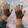Winter Leopard Simple Keep Warm Outdoor Thick Mittens Velvet Female Gloves  Gloves