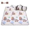 ZISIZ Outdoor Picnic & Camping Mat