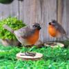Cute Robin Bird Statue Nordic Style Yard Ornament Durable Bird Figurines  Indoor Living Room