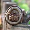  Unique Owl and Garden Gnomes Pendant for Yard Decors and Tree Hanging Ornaments