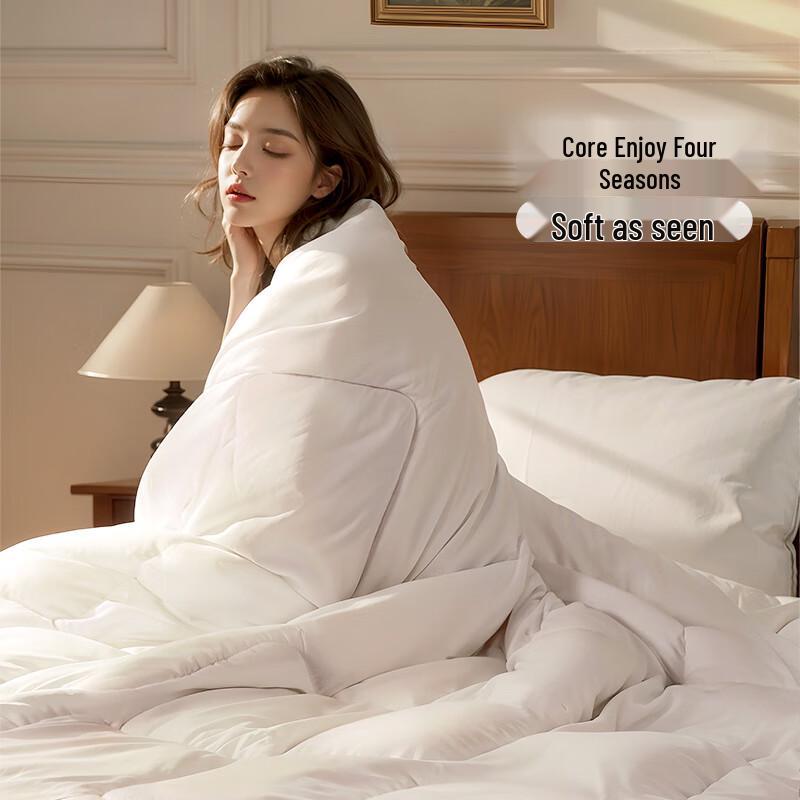 Fuanna All-Season Warm Polyester Fiber Comforter