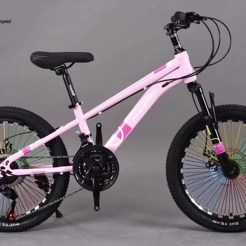 Phoenix 22-inch Youth Mountain Bike
