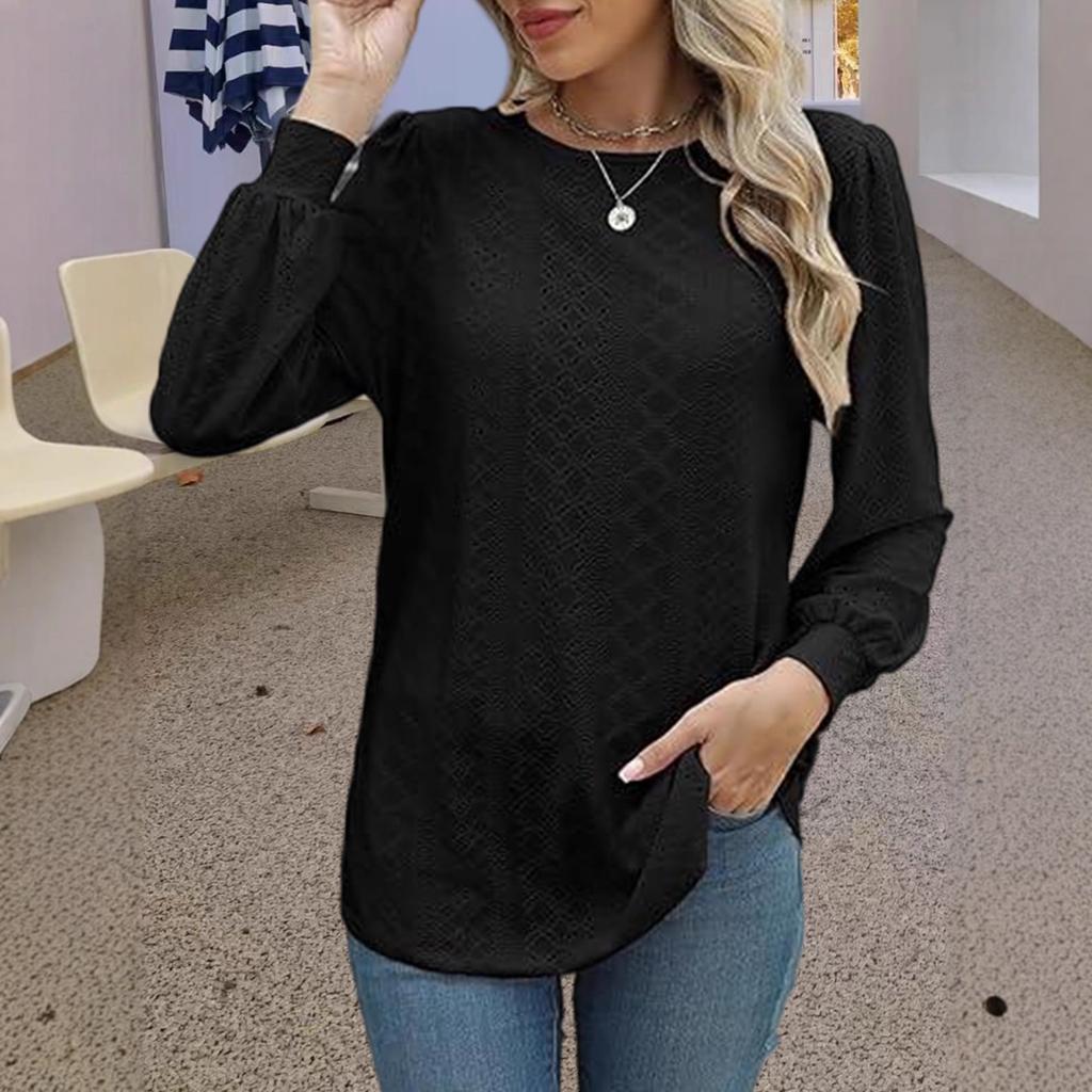 women's Hollow Out Textured Puff Long Sleeve Crew Neck T-Shirt Casual Loose Fit Blouse Top