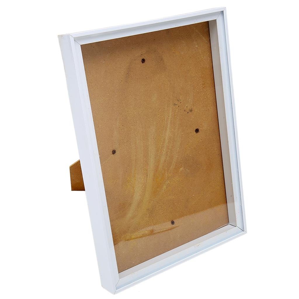 Picture Frame with Bracket sy to Disassemble Plastic Decorative Photo Frame for Dried Flowers Shells