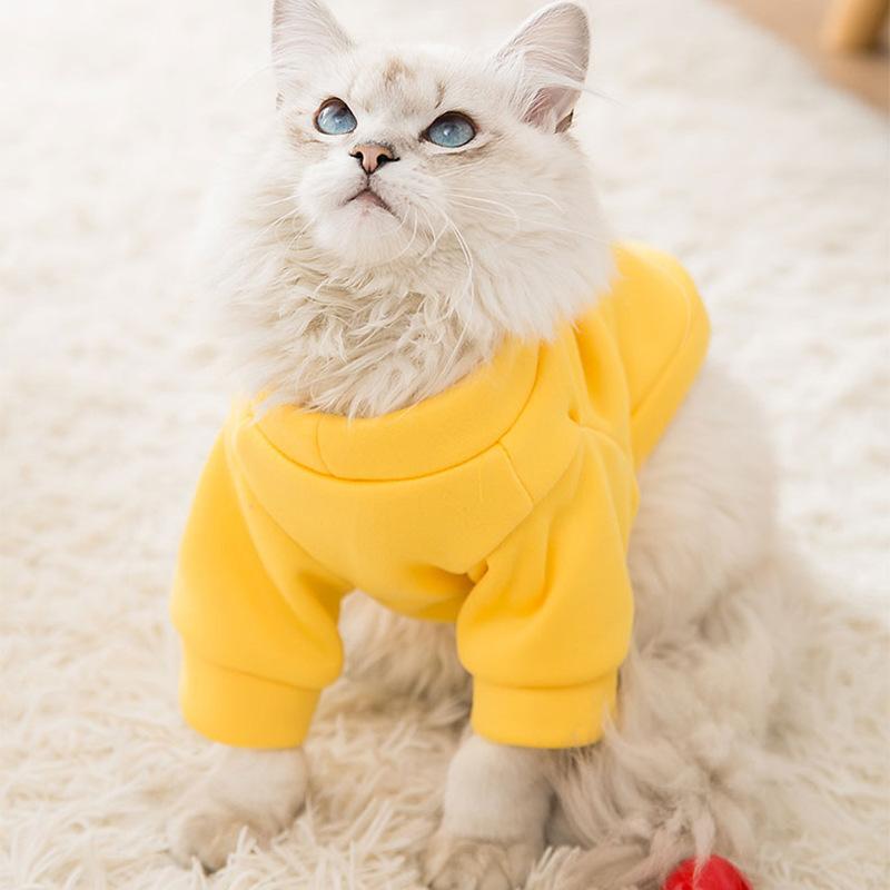 Кошачий свитер осень и зима тонкий вельветовый синий кот котенок в кота теплый медведь плюшевый две лапы питомец собачья одежда