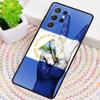 Силиконовый чехол для телефона с флагом Никарагуа для Samsung Galaxy note 10 pro S26 S25 S24 S23 S22 S21 Plus S25Ultra Capa Cover