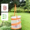 Collapsible Insect Cage For Caterpillars Butterfly Habitat Observation Cage Toy Bucket Insec tNet Cloth Hatch Cages