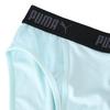 Puma Прозрачные Шорты Розовые LL - / (D3PLZ207)
