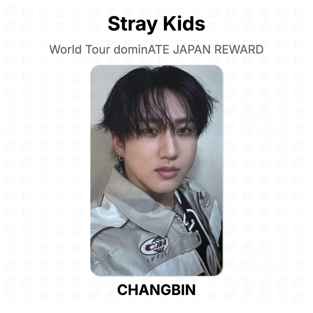 Stray Kids Мировой тур dominATE JAPAN REWARD Официальная фотокарточка