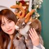 Lifelike Reindeer Plush Toy Christmas Deer Plush Doll SimulationElk Soft Toys Merry Christmas New Year Decoration Best Gifts