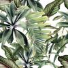 Modern Green Leaf Self Adhesive Wallpaper Peel and Stick Tropical Palm Leaf Contact Paper Removable Self Adhesive Wallpaper