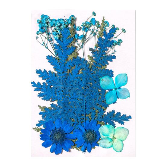 10 Pcs Pressed Dried Flowers Flat Real Dried Blooms All-Natural Colored Dried Flowers for DIY Crafts Scrapbooking Face Decoration