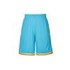Мужские классические баскетбольные шорты Dri-FIT Rage-Blue AQ5601-486