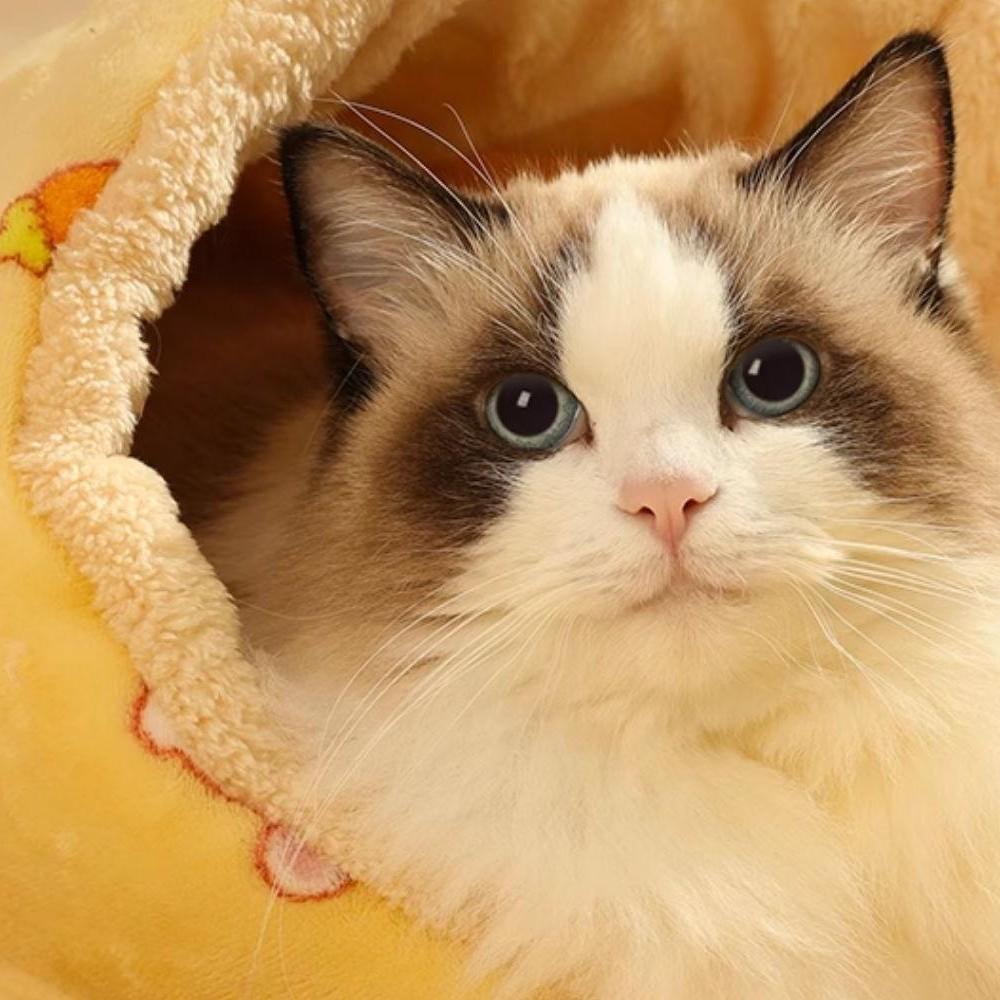 Pet Bed: Four-Season Cushion for Dogs and Cats – Warm, Comfortable Sleeping Pad and Floor Mat