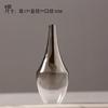 Новый бренд Nordic Flower Glass Vase Creative Silver Gradient Dryed Insert Desktop Terrarium Jewelry Decoration Plant Holder