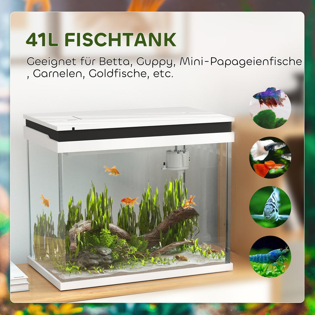 41 Liter Glass Aquarium with Filter System, LED Lights, Water Pump, for Various Fish Species, White