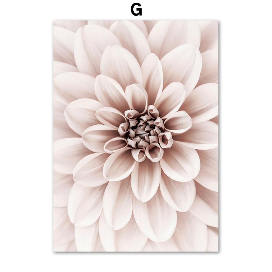 Розовый Блум Пион Роза Георгин Ирис Магнолия Цветок Стены Искусства Принт Холст Картины Скандинавский Плакат Декор Фотографии Для Гостиной