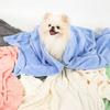 Dingdongpet Pet Soft Pet Towel Set, Korean Pet Shampoo