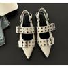Women's New French Style Pointed Toe Mary Jane Shoes Retro Medium Thick Heel Shoes for Women with Skirts and Small Leather Shoes