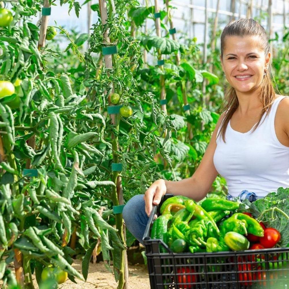 Nylon Plant Ties Sealing Ties Self-adhesive Plant Ties for Supporting Grapevine and Tomato Gardens